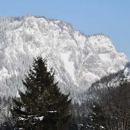 Tauern-huett'n - Alpenzauber * 上陶恩