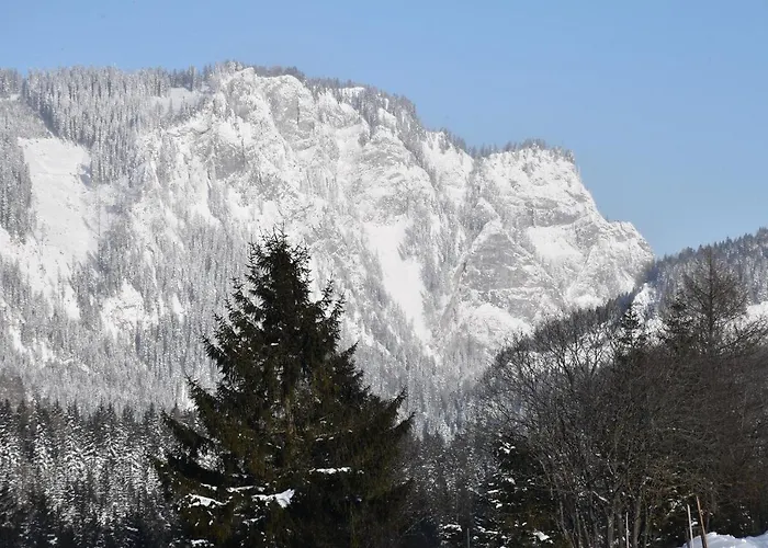 Tauern-huett'n - Alpenzauber * Hohentauern