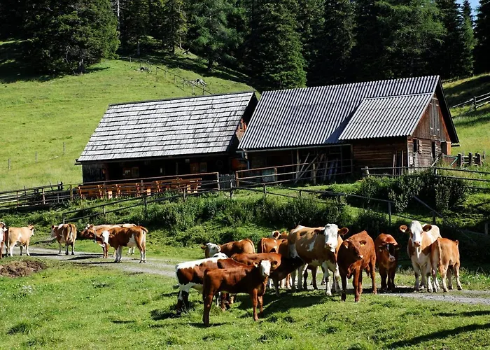 Holiday home Tauern-huett'n - Alpenzauber Hohentauern